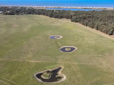 Quinta en Venta en José Ignacio, USD 1.000.000