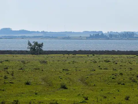 Quinta en Venta en José Ignacio, USD 1.000.000