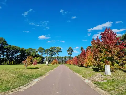 Terreno en venta - 1.500mts2 - Los Pinares Country Club, Exaltación de la Cruz