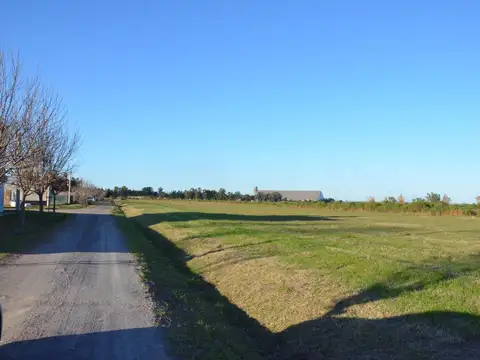 Terreno en Venta 12  mts Frente