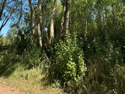 Terreno en Venta en Aguas Verdes, USD 16.500