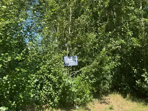 Terreno en Venta 19,50  mts Frente