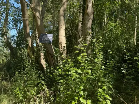 Lote en esquina en Aguas Verdes