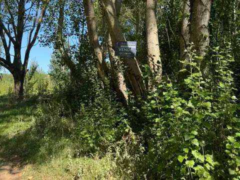 Terreno en Venta 14,94  mts Fondo
