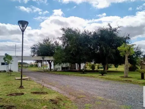 Campos De La Enriqueta