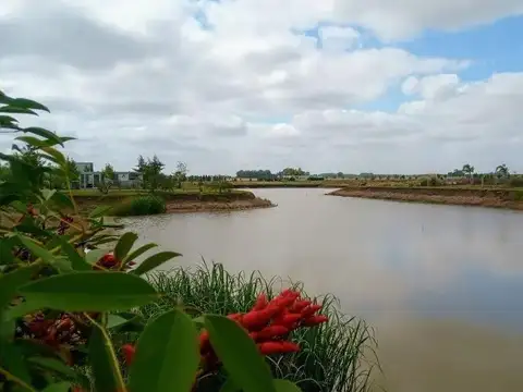 Campos De La Enriqueta