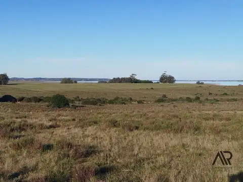Laguna de José 100