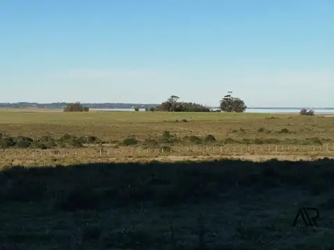 Laguna de José 100