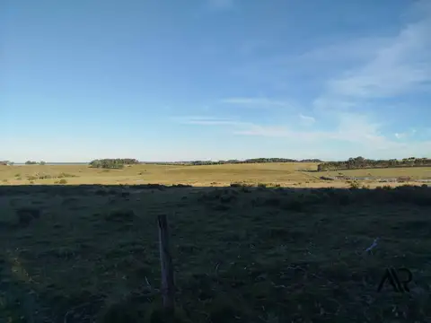 Venta de chacra 12 ha, Laguna de José Ignacio, Manantiales