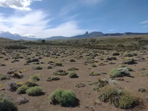 Terreno en Venta de 2375,0 m2