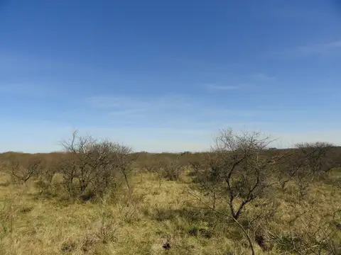 Arrendamiento campo mixto sobre ruta
