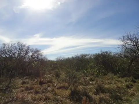 Campo en Alquiler Mixto