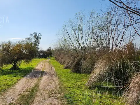Terreno en Venta - Colonia Hughes Entre Rios