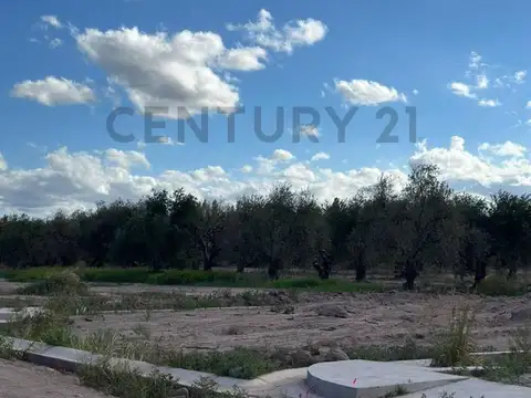 Lote en Venta en Barrio Terruño Malbec. Maipú. Superficie 450 M2.