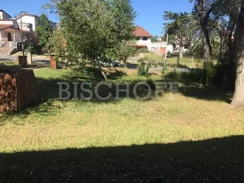 AVENIDA 4 ENTRE PASEOS 108 Y 109