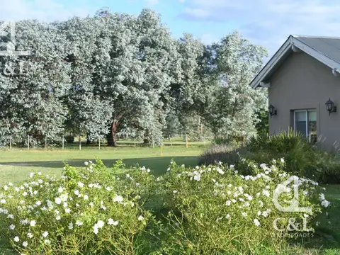 Casa en Estancia Benquerencia 467 A