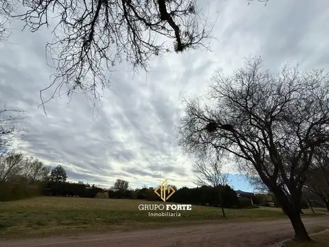 Terreno en venta- Causana