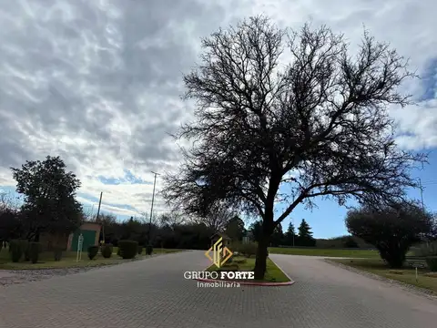 Terreno en Venta 50  mts Fondo