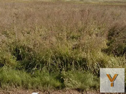 Terreno en Venta en Necochea, USD 385.000