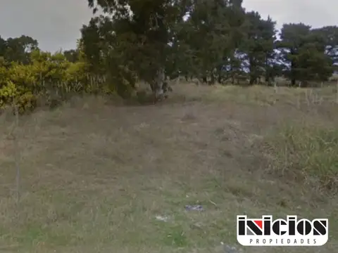 Julio Campos y Alberdi