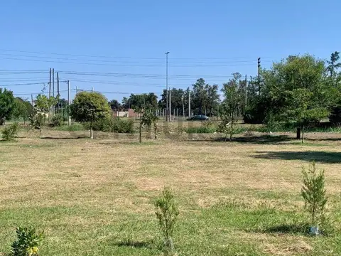 520 e/ 147 y 149