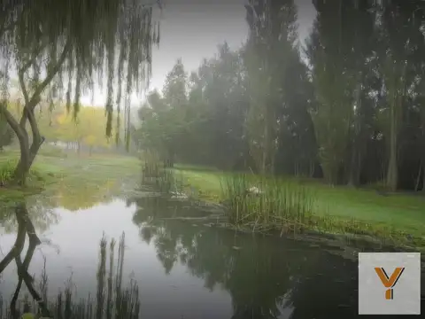 Terreno en Venta de 11580,0 m2