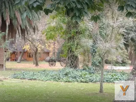 Campos de Roca