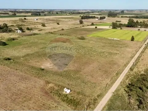 CHACRA, PREDIO RURAL 3 has, Ruta 7, San Jacinto.