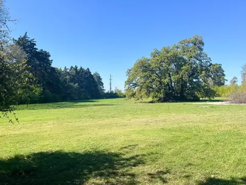 Lote en venta pilar.