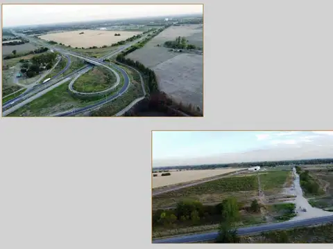 OPERN DOR 56 Hectareas