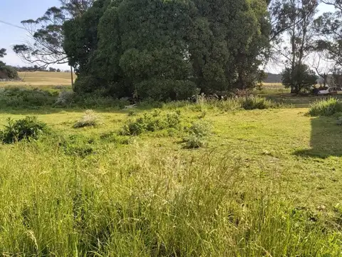 Terreno en Venta de 1007,0 m2