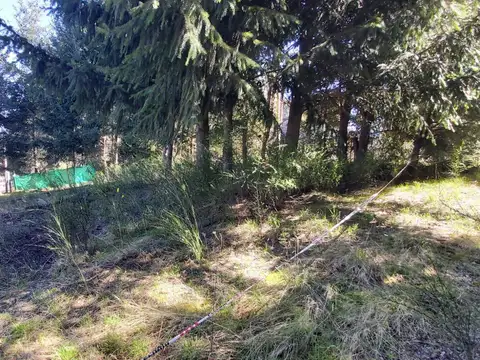 Del Pehuen  al 200
