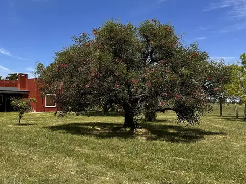 Casa Quinta con 14 Has Colón Entre Ríos
