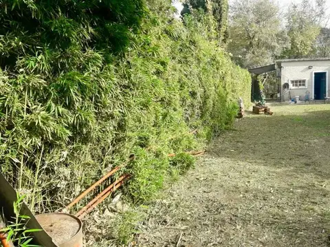 GENERAL DE VIEDA 100