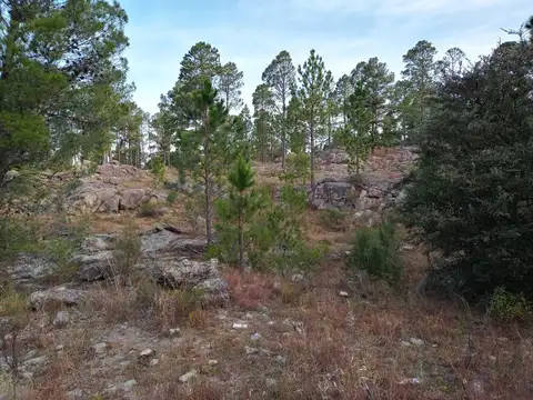 Terreno en Venta de 5834,0 m2