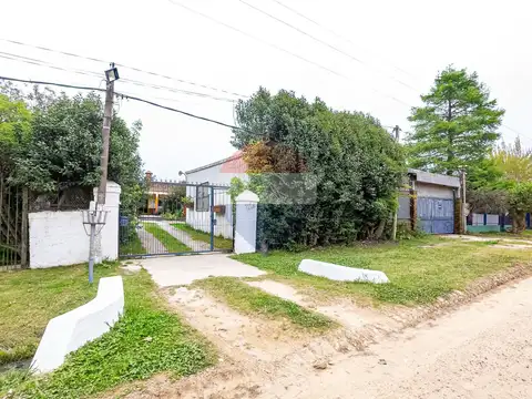 Los Olivos 100
