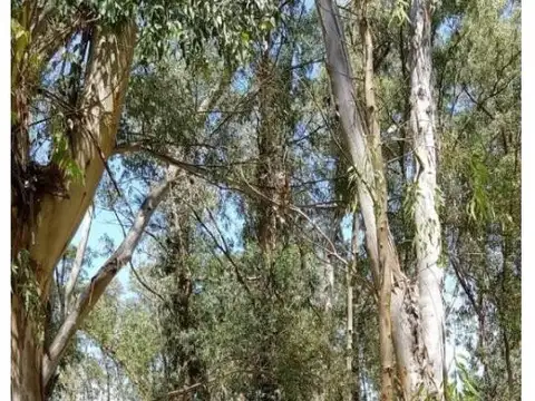 Terreno en Venta de 642,0 m2