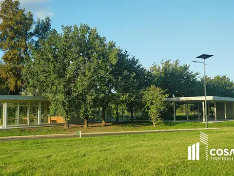 Terreno en Venta 31  mts Fondo