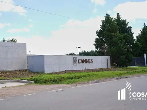 Terreno en Venta 31  mts Fondo