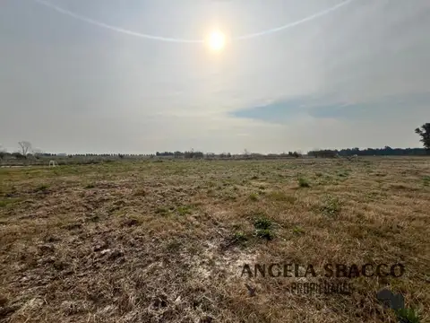 Excelente Terreno en los Pinares .