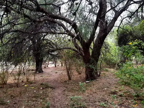 Terreno en Venta 20  mts Frente