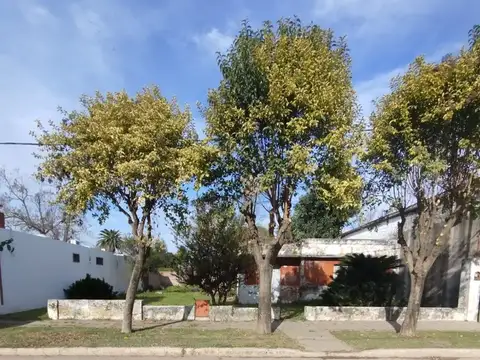 Casa a reciclar con imponente terreno en Serodino