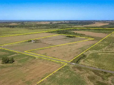 Campo en Venta de 118  ha