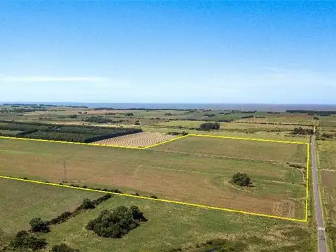Campo en Venta Agricola