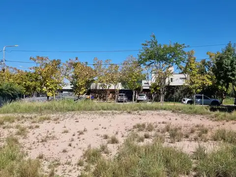 Roque Saenz Peña al 4000