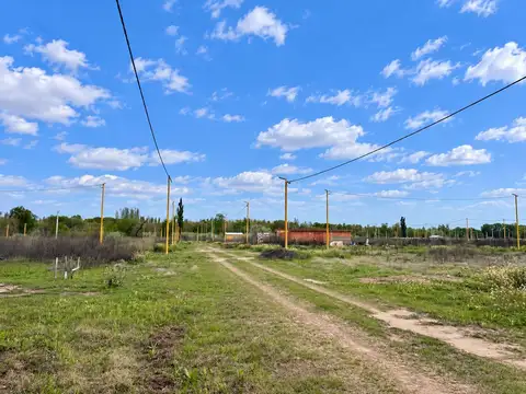 TERRENO EN VENTA EN LA RUFINA I EN CERVANTES