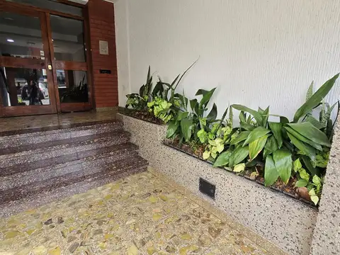 Remedios Esc. de San Martin 100