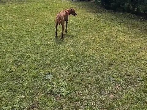 Casa en Venta 9 años