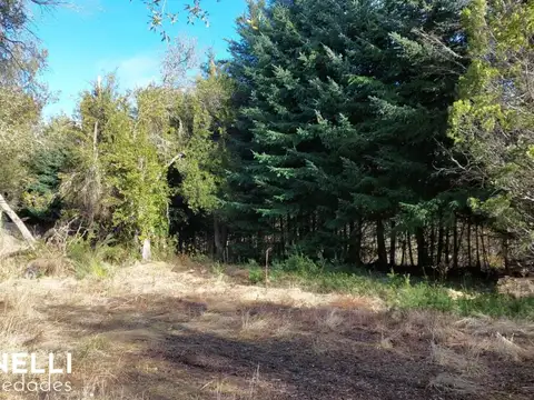 Lotes en Venta en Barrio Las balsas (cód. 207)