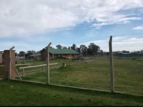 Fernando de Aragón 100